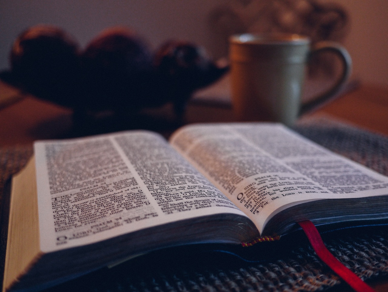 I Do Not Know How to Read the Bible