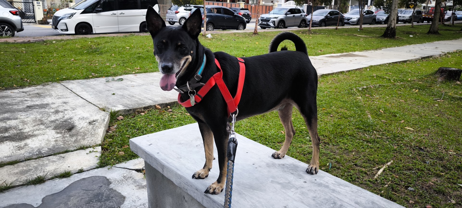 Seek the Lord and Lack No Good Thing