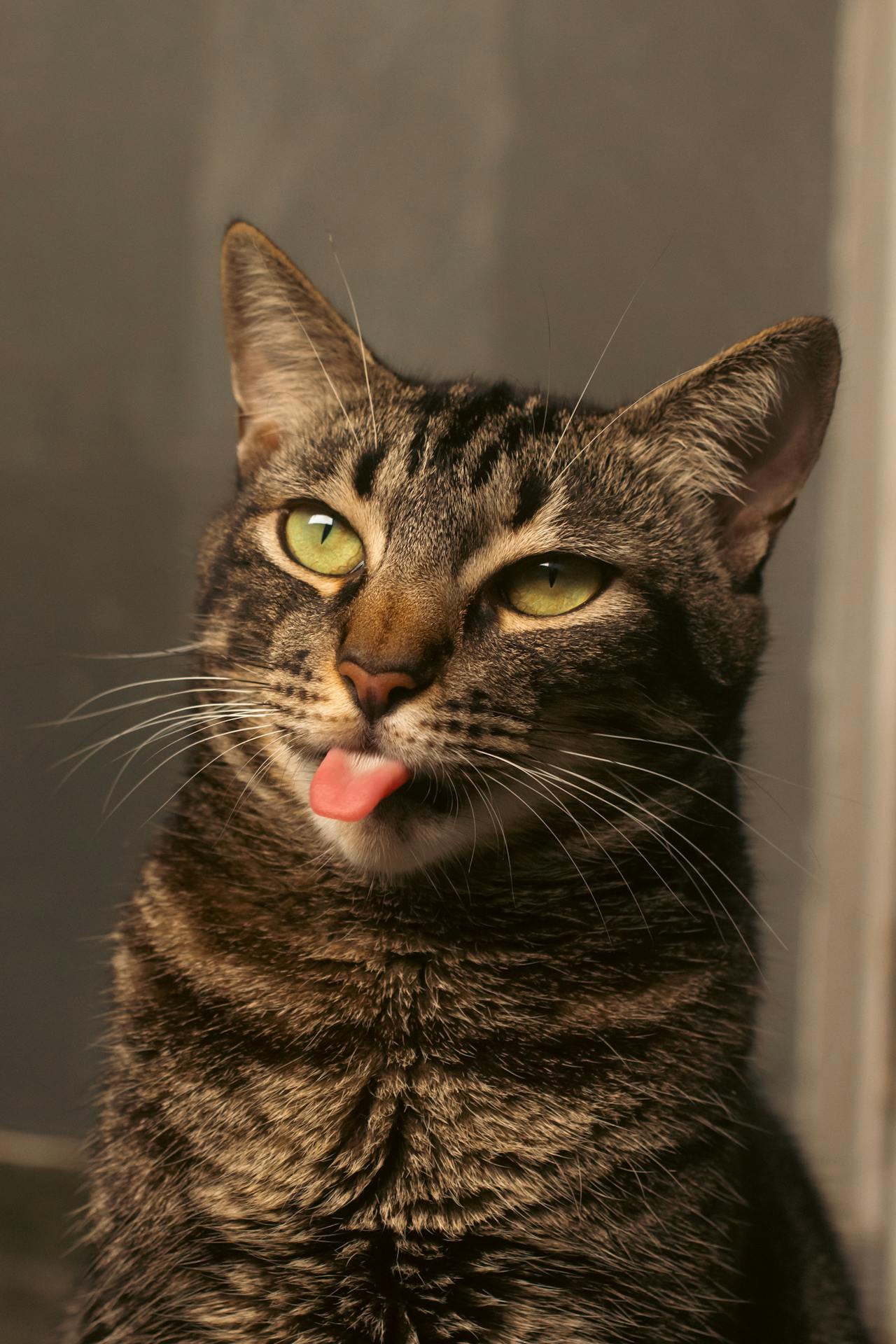 The Taming of the Tongue