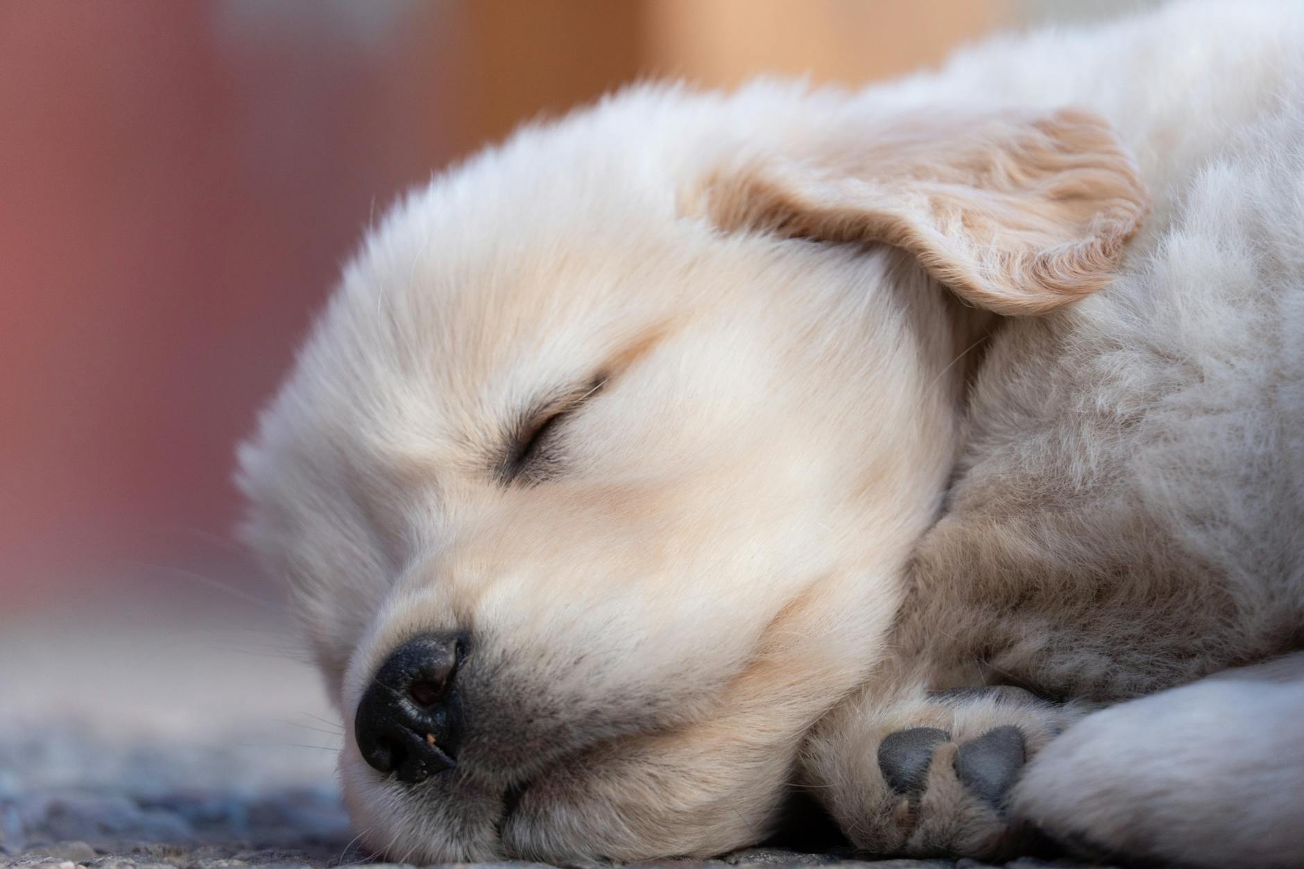 How do you get some rest?