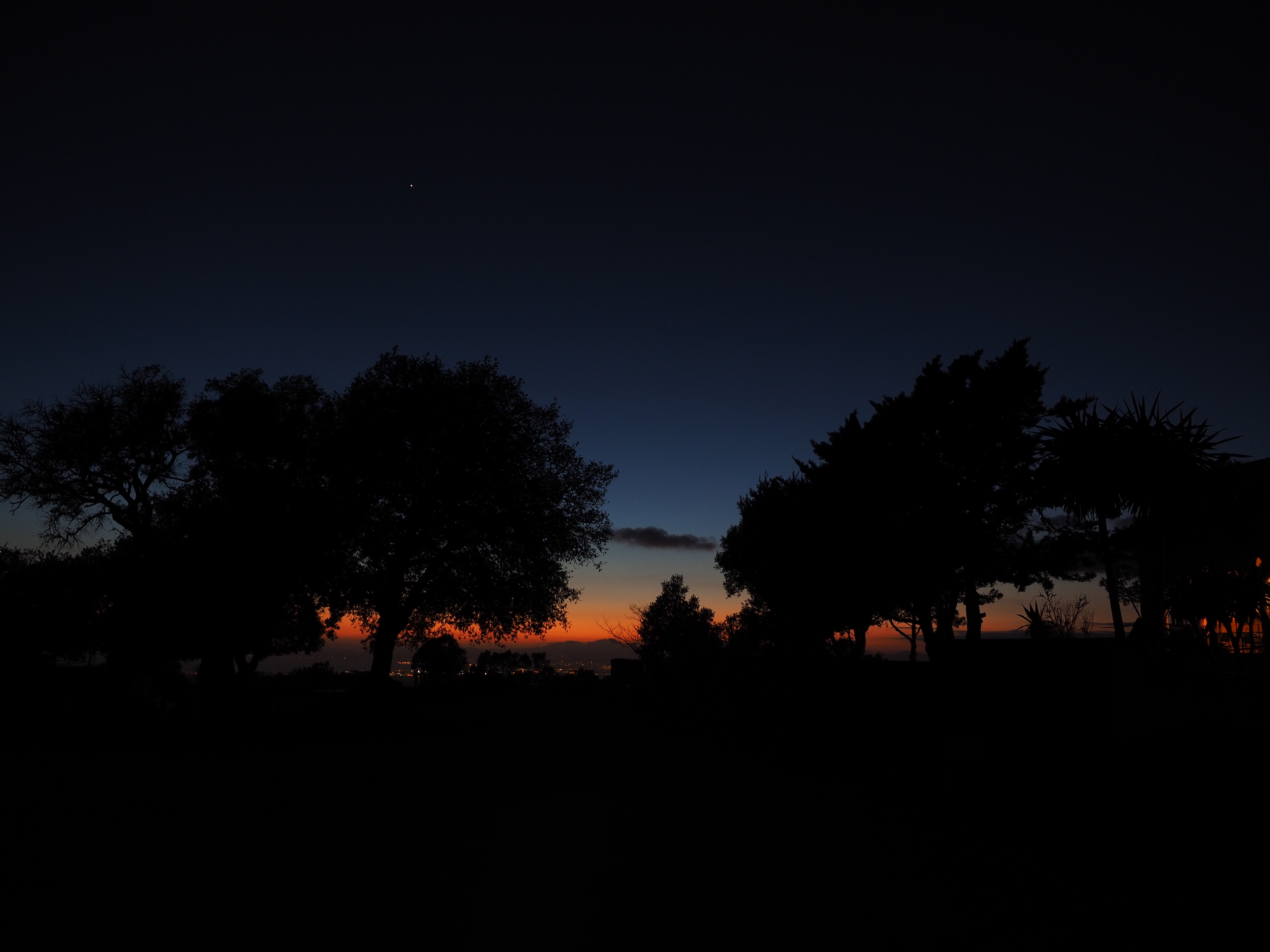 Dawn is Coming