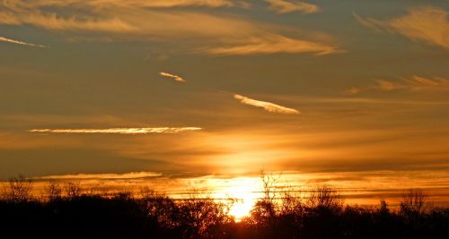 With All My Heart #1: Pursuing God Daily – The Joy of Choosing What’s Best