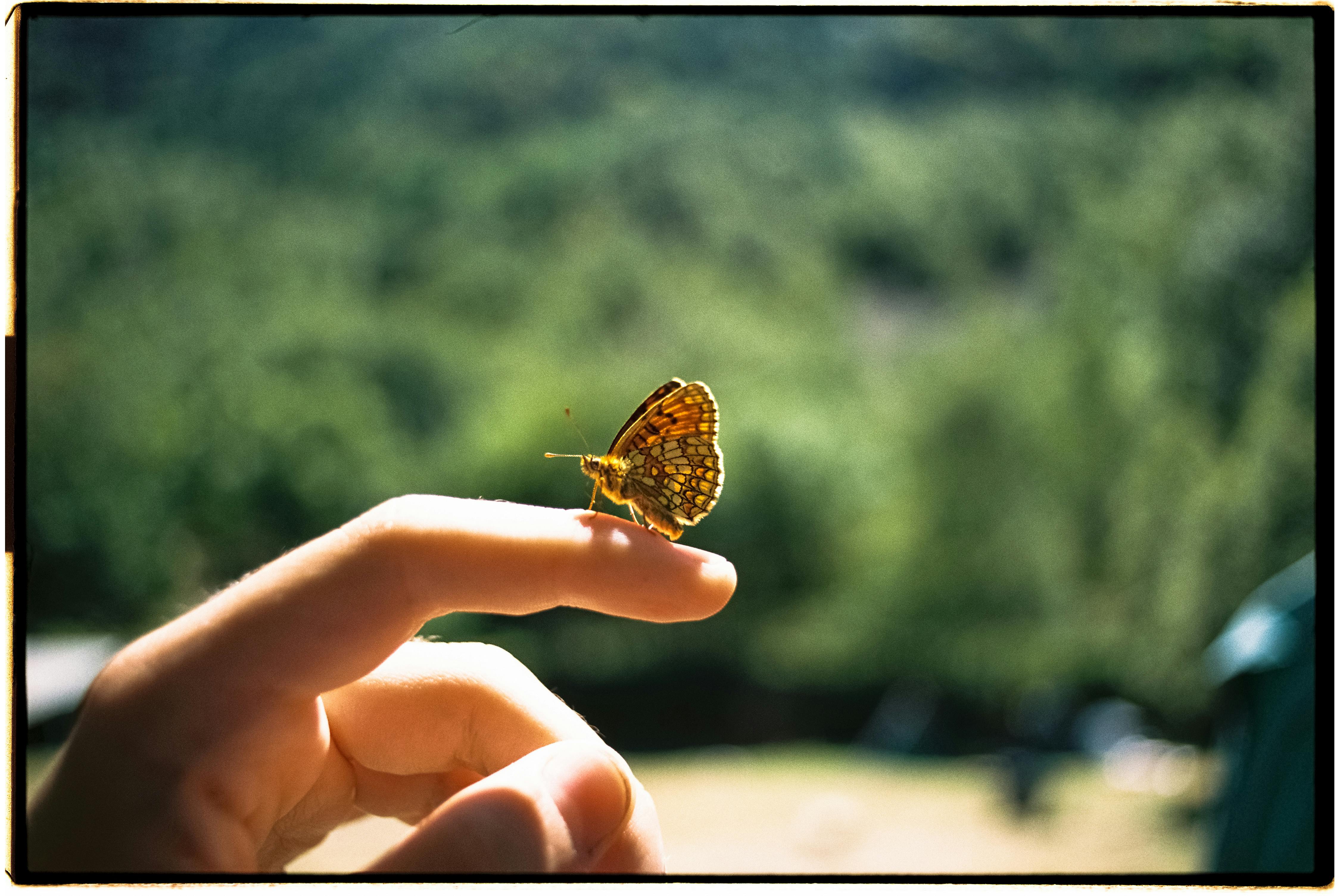 With All My Heart #5: Worship Beyond Sunday – Living a Life that Honours God
