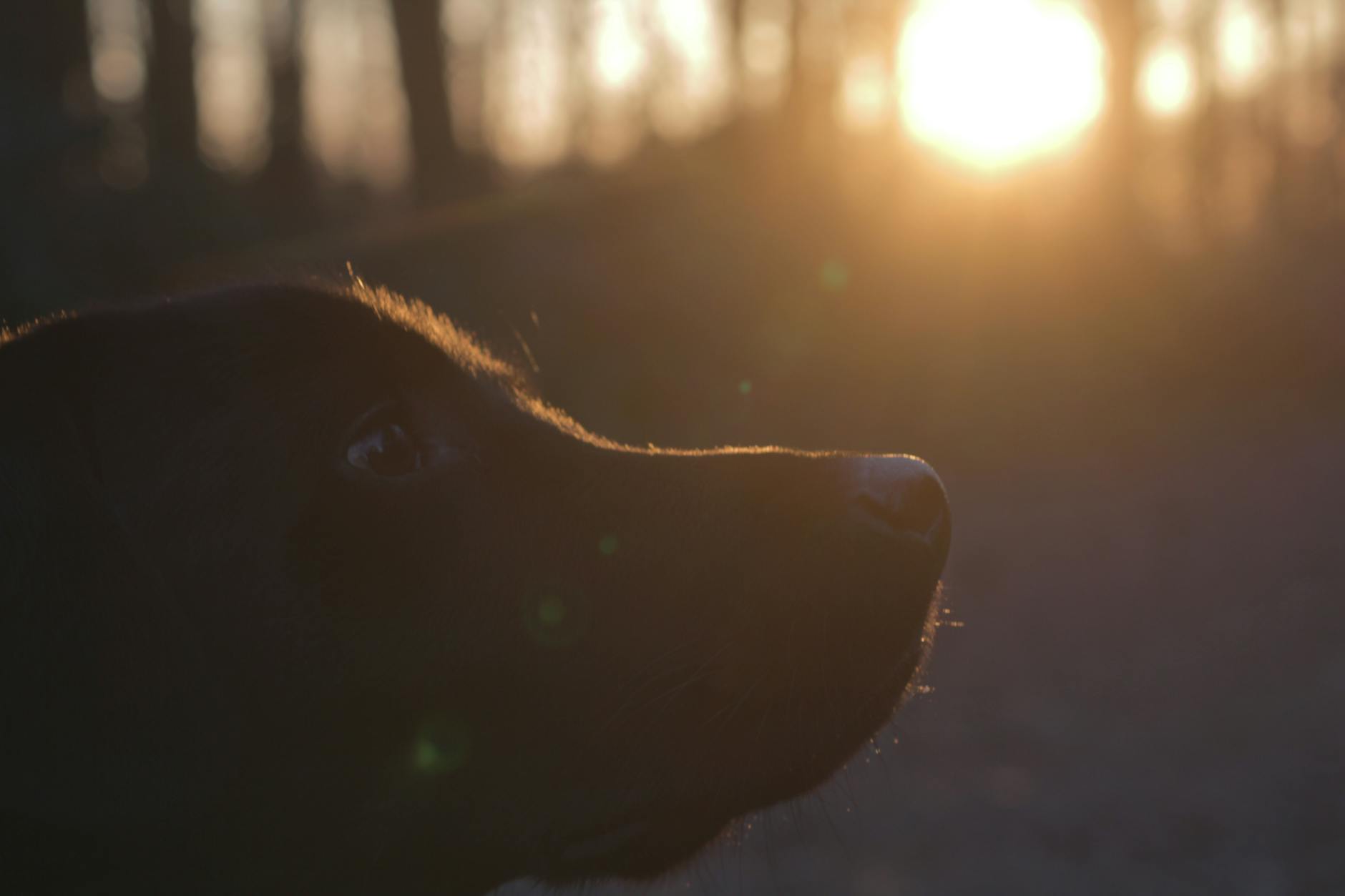 Still Pressing On #4 – Sunrise