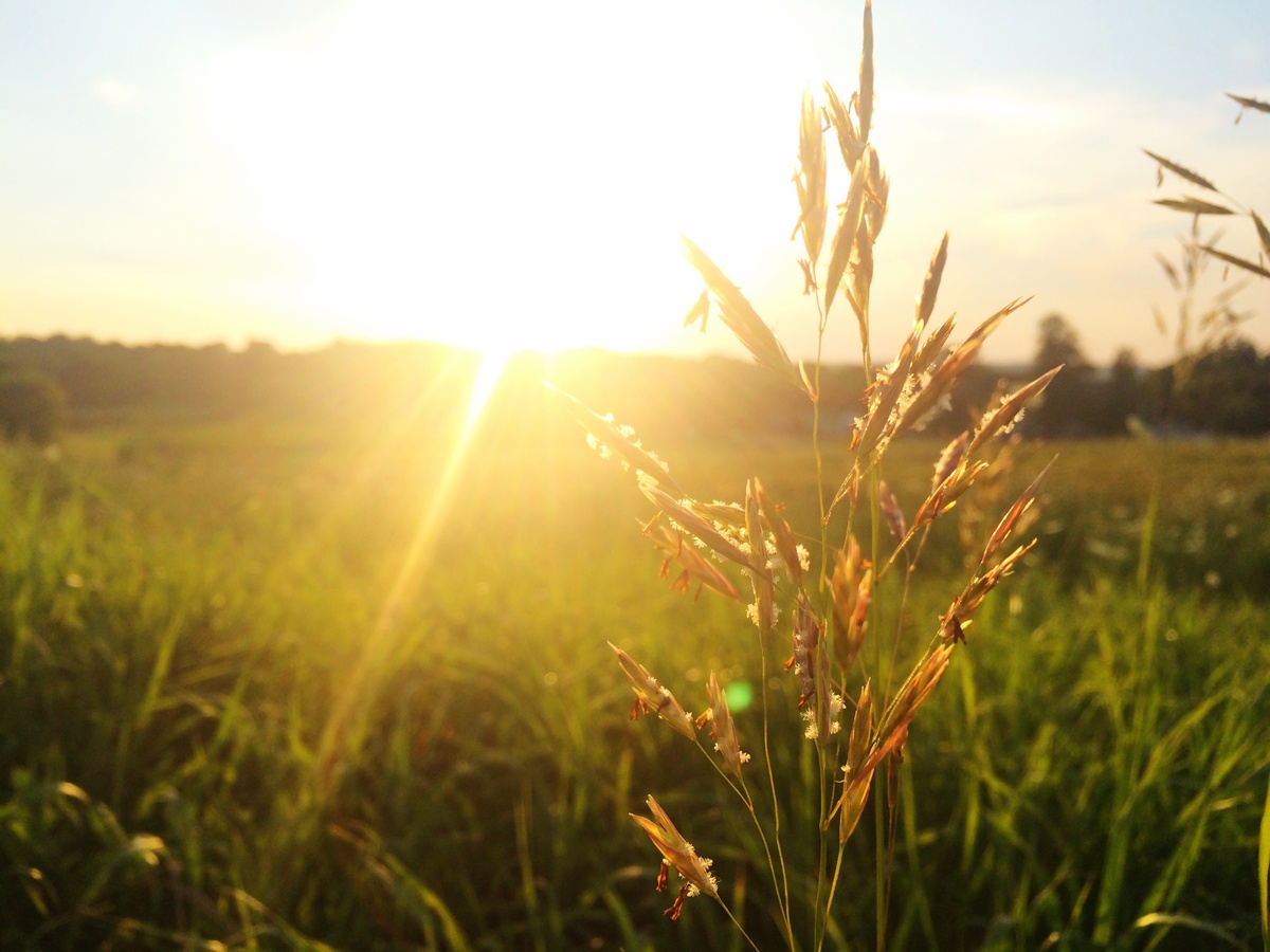 Between Sorrow and Hope