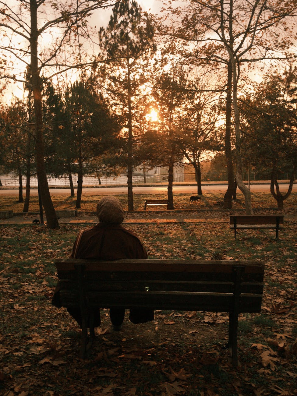 When the Day Turns into Night