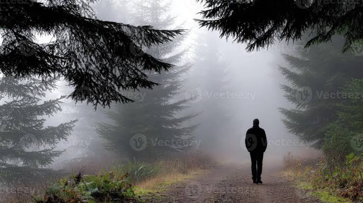 Growing Your Faith Daily: An Introduction to Walking in STRIDE